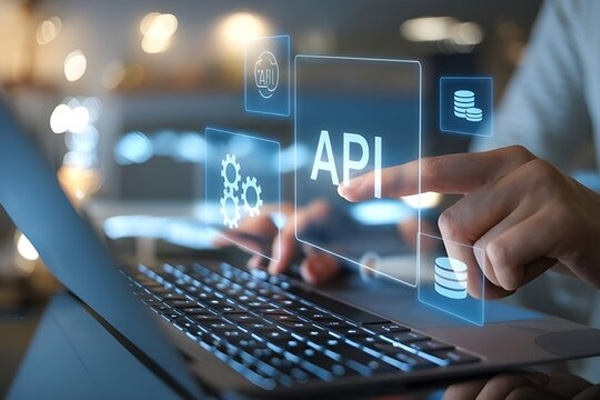 ウェブサービスの開発および<br>コンサルティング